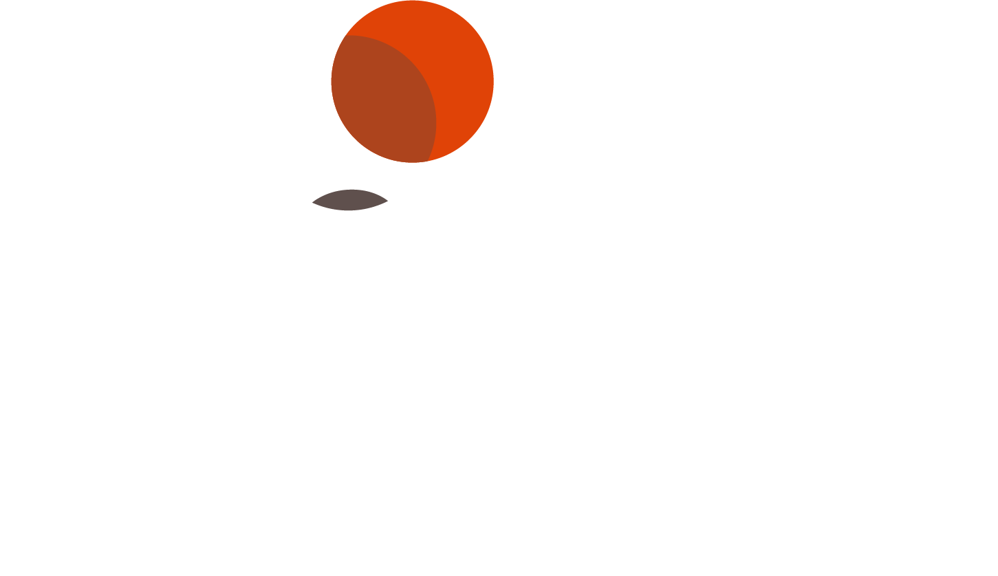 Liga Endesa