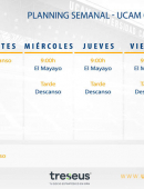 Plan de trabajo del filial (21/08-27/08)