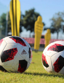 Plan de trabajo (17/12 – 23/12)