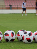 Plan de trabajo (28/01 – 03/02)