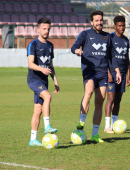 Plan de trabajo semanal (03/02 – 09/02)