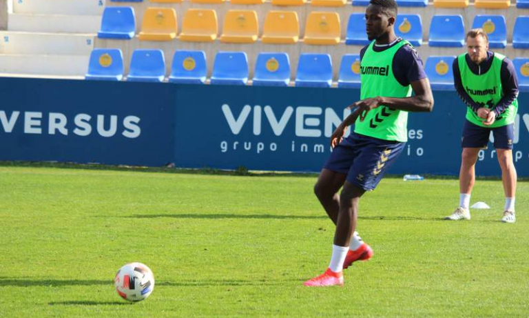 Plan de trabajo (08/02 - 14/02)